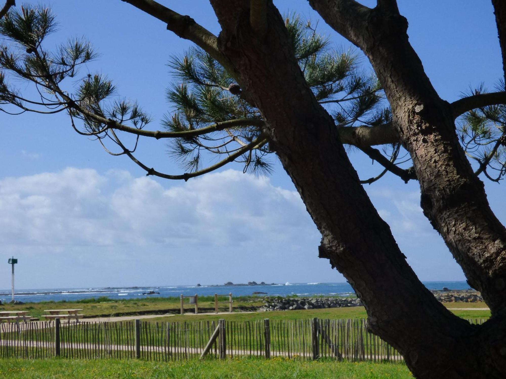 APPART-STUDIOS VUE MER PANORAMIQUE ST GUENOLE Côté Mer Penmarcʼh Habitación foto